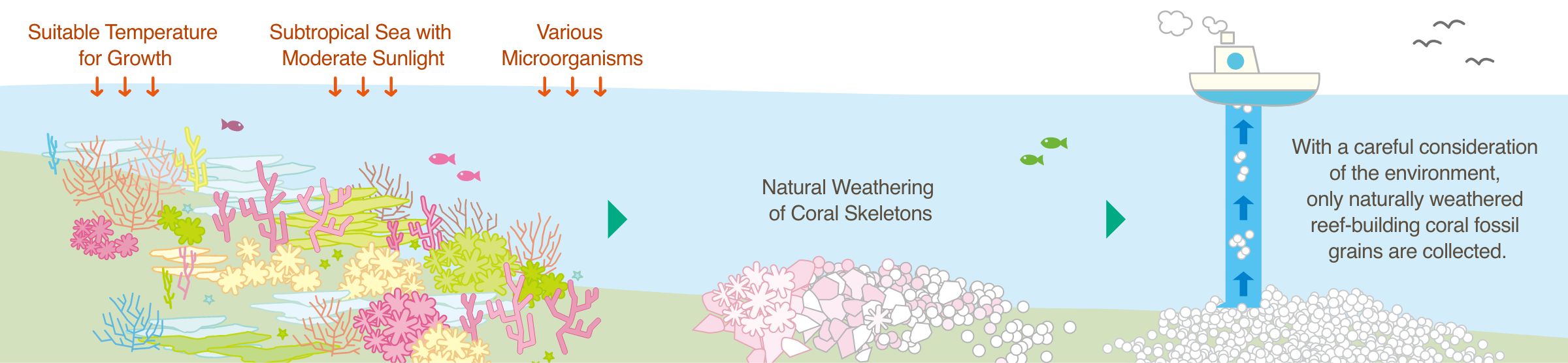How Weathered Reef-Building Coral Grains are made