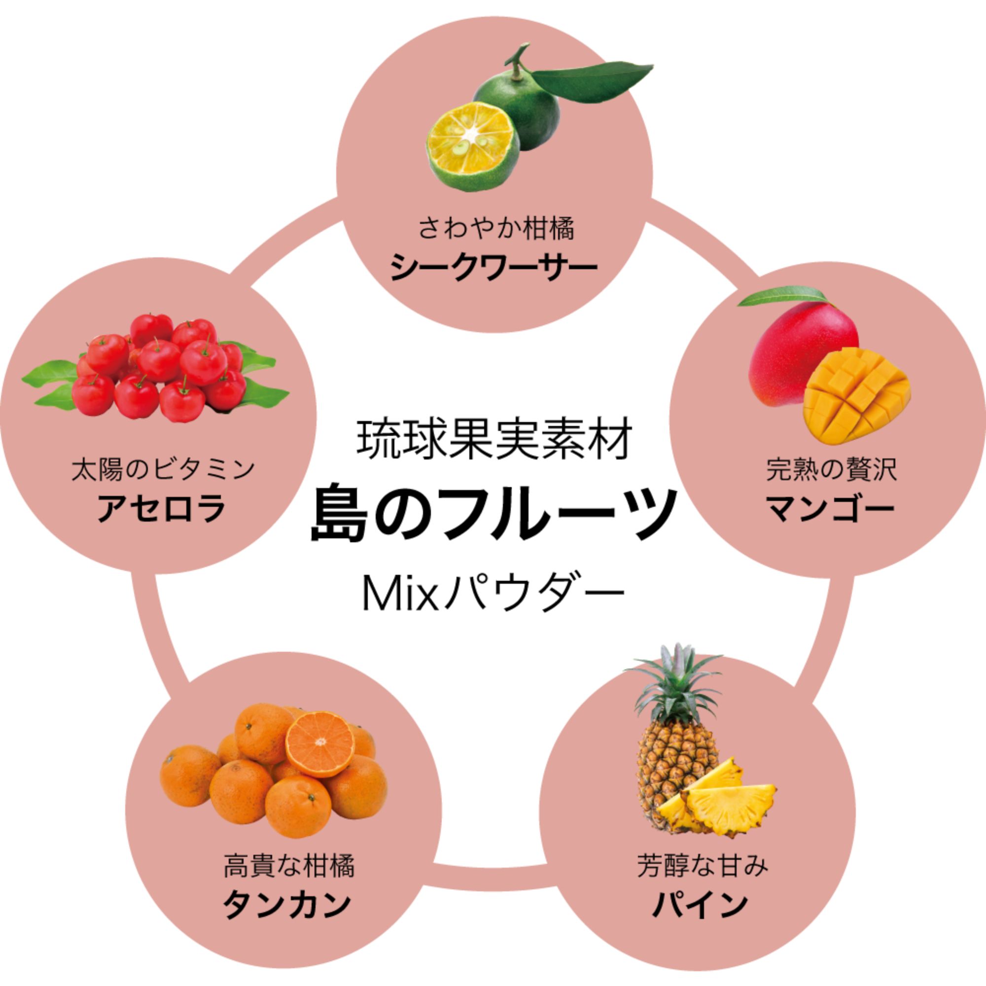 琉球果実素材 島のフルーツ