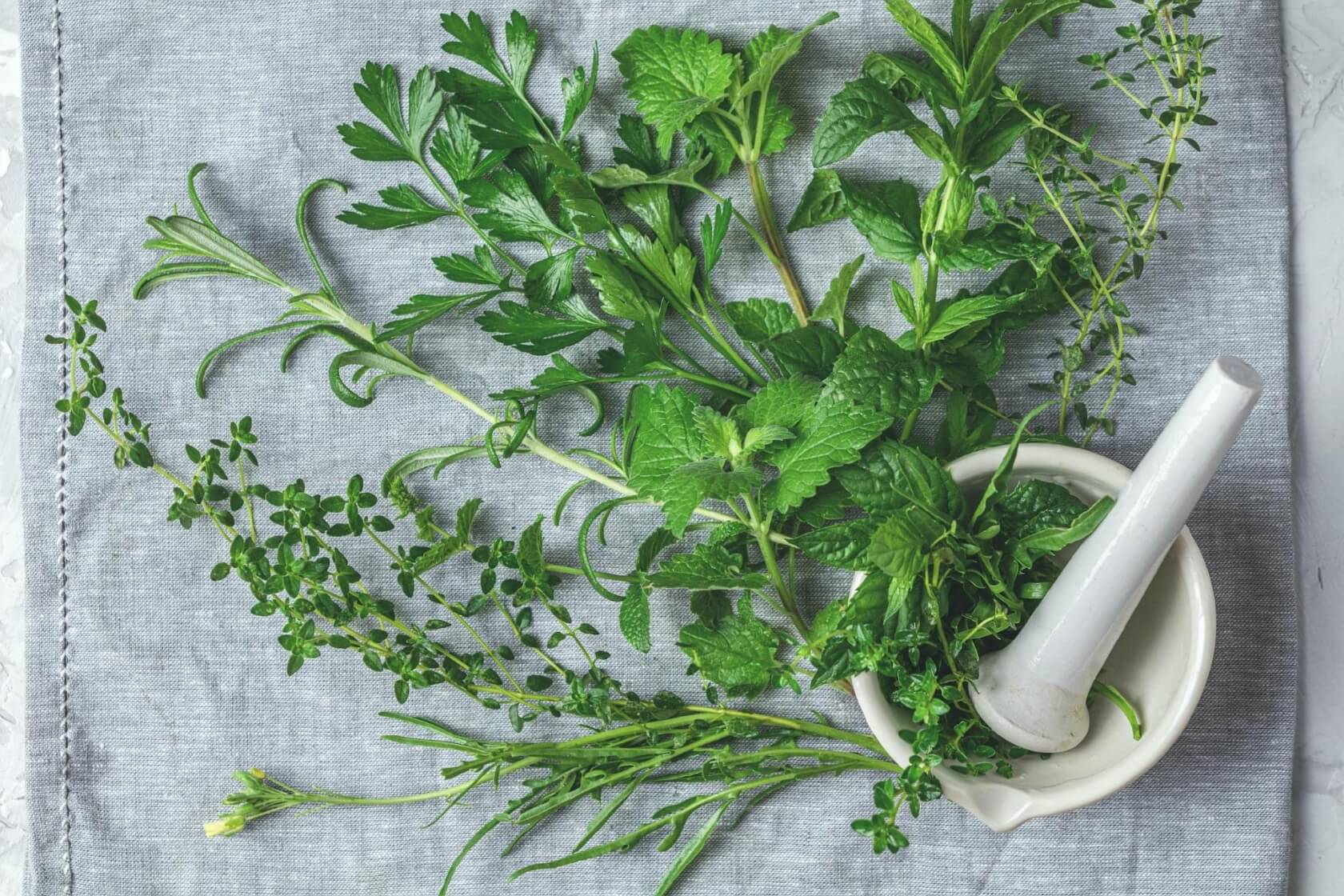 注目のハーブ成分