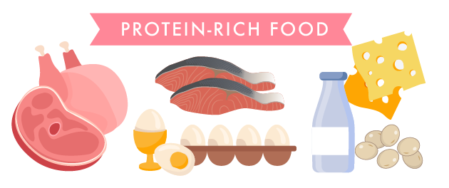 肌をつくるもとになる「たんぱく質」