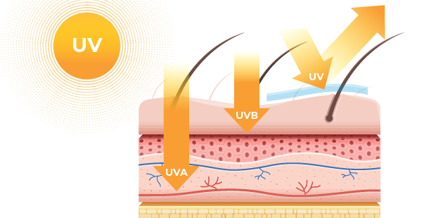 紫外線から肌を守る