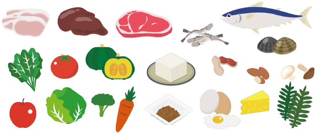 牡蠣を毎日食べれば十分?